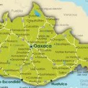 Meet your Posher, Arturo